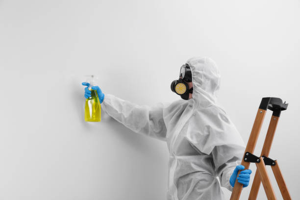 Professional Mold Inspection in Hudson, NY